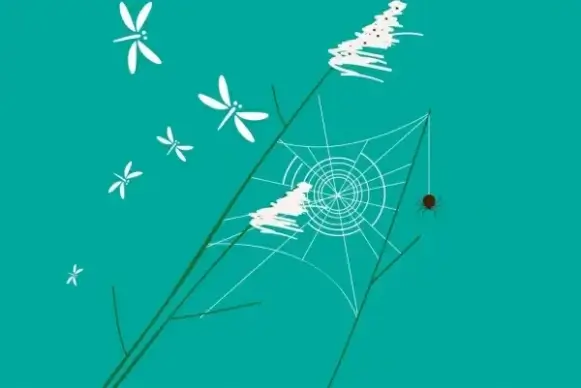 wild insects background dragonfly spider icons handdrawn sketch