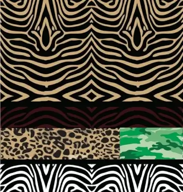 wild patters vector