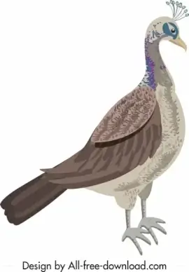 wild peacock icon simple decor colored handdrawn sketch