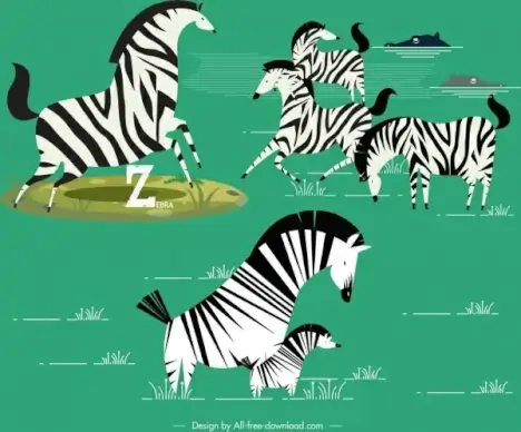 wild zebra herd painting colored classical design