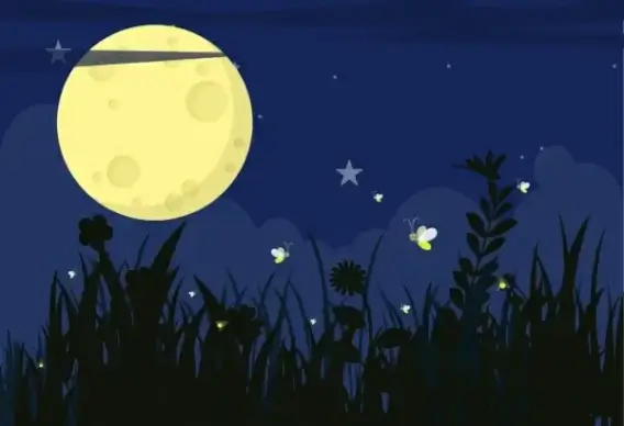 wildlife background flying fire fly round moon icons