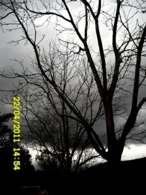 will rain