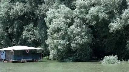 Wind