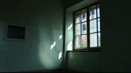 Window
