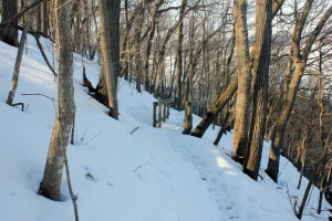 windy trail down the mountain at frontenac state park minnesota