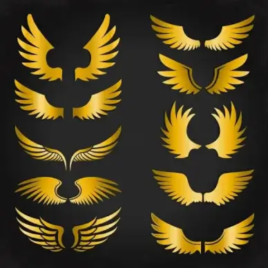 wings icons collection shiny yellow various shapes