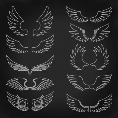 wings icons collection silhouette flat sketch