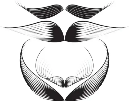 wings set vector