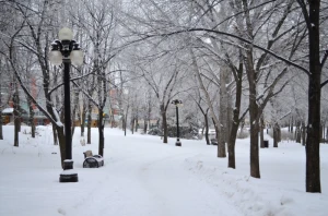 winnipeg canada winter