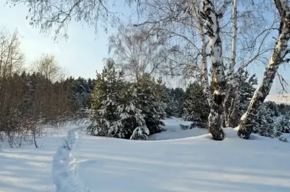 winter day