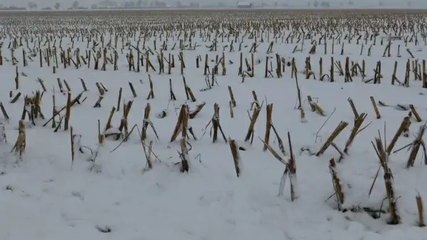 winter first snow arable