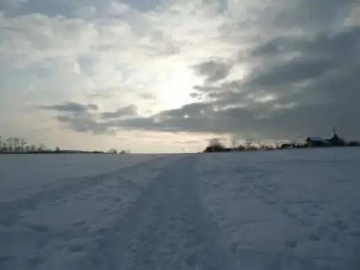 winter landscape
