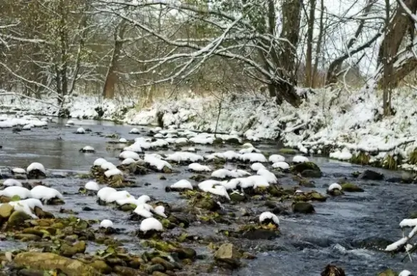 winter landscape