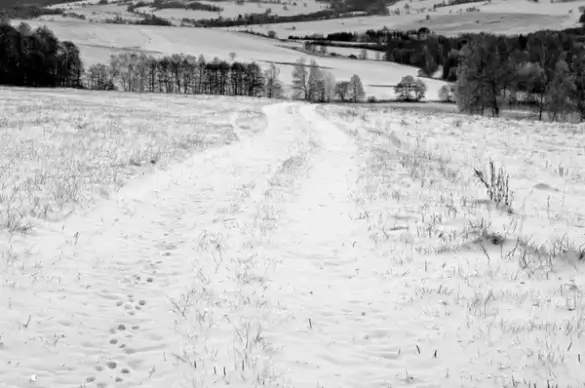 winter landscape
