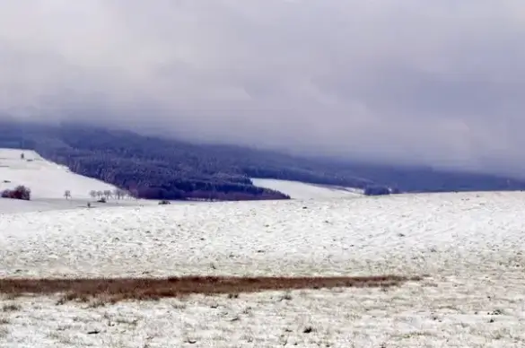 winter landscape