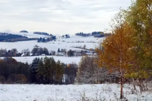 winter landscape