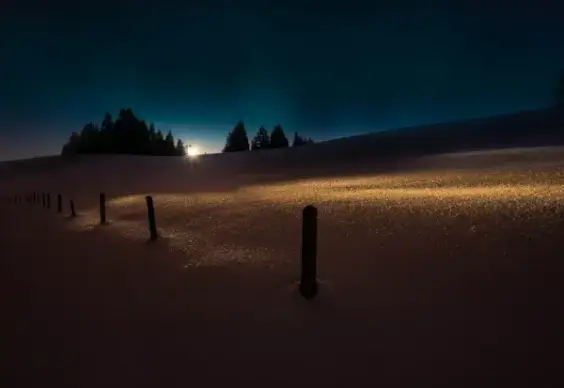 wooden poles on wide sandy dune