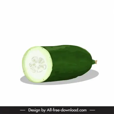winter melon fruit icon sliced cut sketch classical handdrawn design 