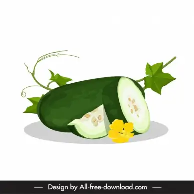 winter melon icon slices flower leaf sketch classic design 