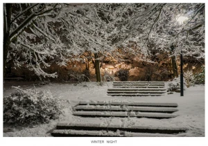 winter night 4