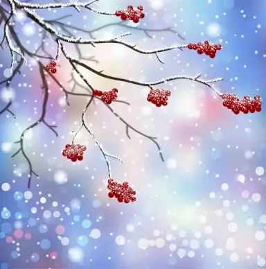 winter scenes with branch and red fruit