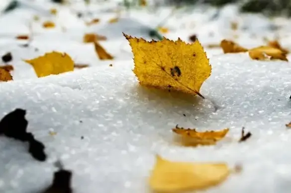 winter seasons