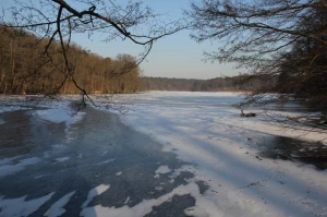 winter see ice