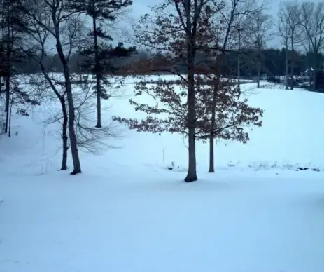 winter snow