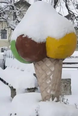 winter snow frost