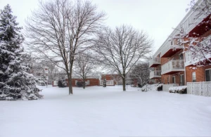 winter snow in madison wisconsin
