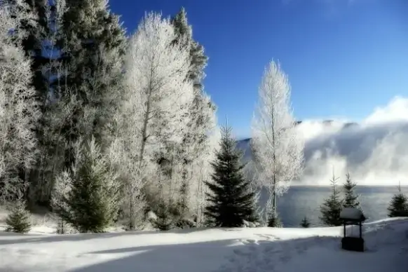 winter sunny cold