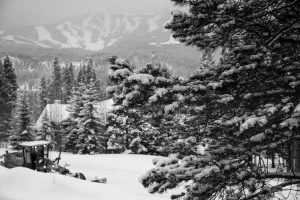winter weather advisory