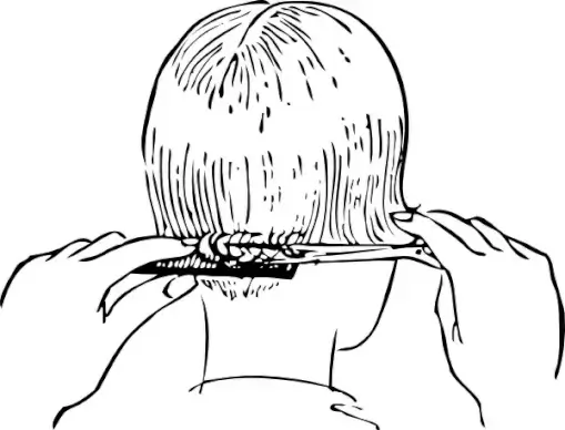 Women S Haircutting clip art