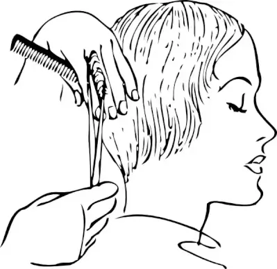 Women S Haircutting clip art