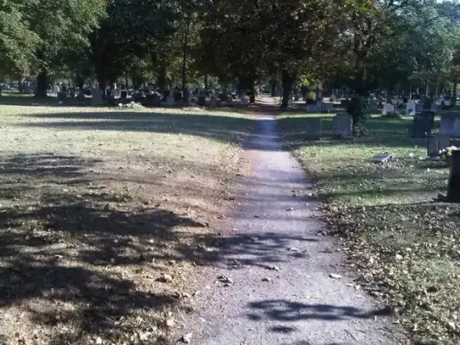 woodland walk