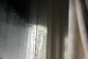 woodsrain on