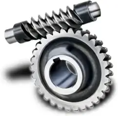 Worm gear