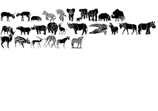WW Safari