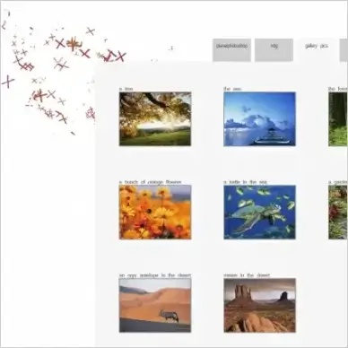 X Gallery Template
