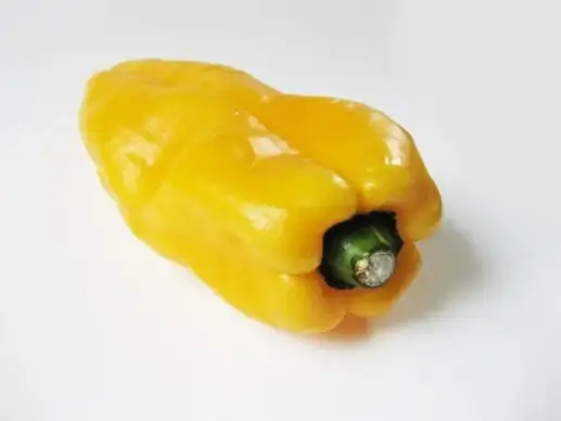 yellow bell pepper