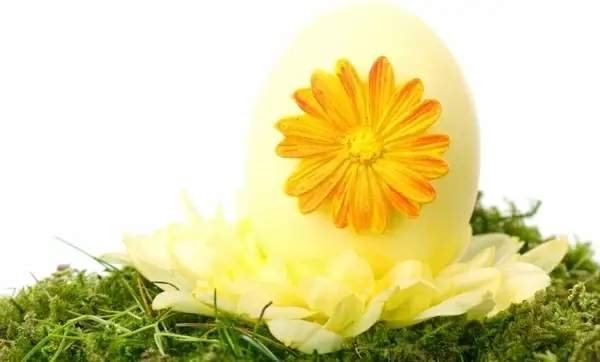 yellow easter egg