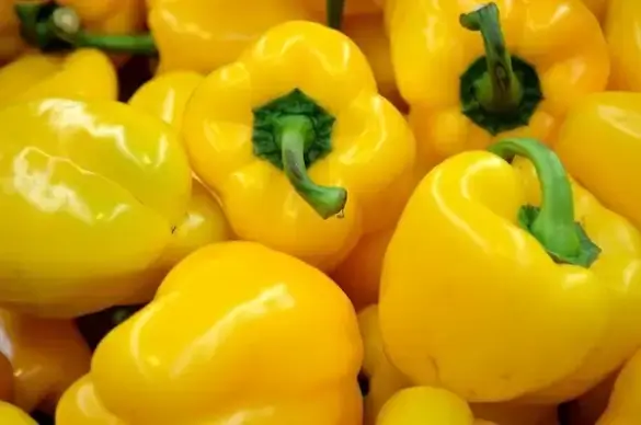 yellow pepper