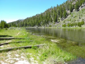 yellowstone national park wyoming stream
