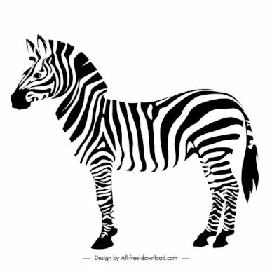 zebra icon flat back white handdrawn sketch