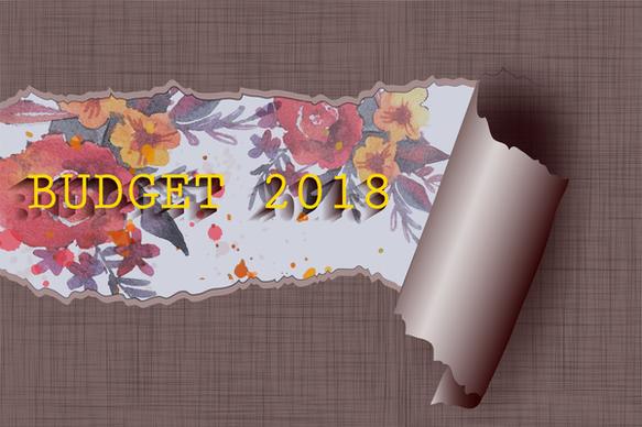 2018 budget banner design with tearing painting