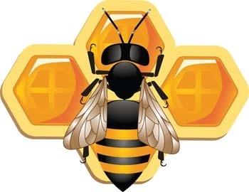 3d bee and honeycomb vector, bee ai, adobe illustrator bee vector, animal illustrator vector ai, 3d illustrator vector