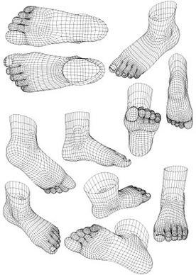 3d model of human foot style vector