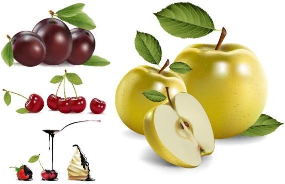 4 realistic fruits vector