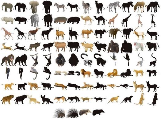 50 animal models and silhouette vector