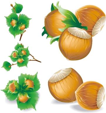 5 chestnuts vector